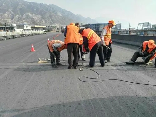 清水道路桥梁病害治理